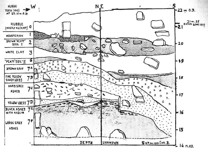 section cotte 1953sm