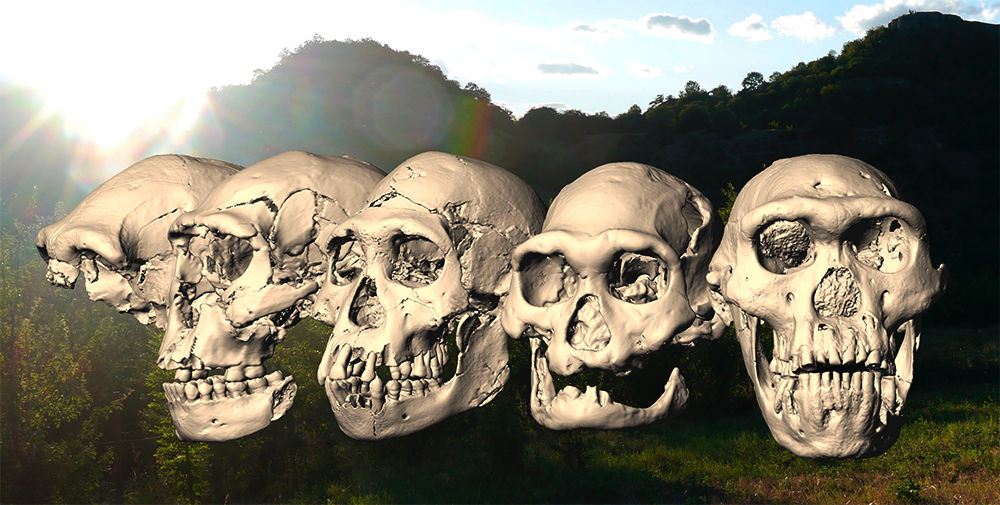  all the skulls
