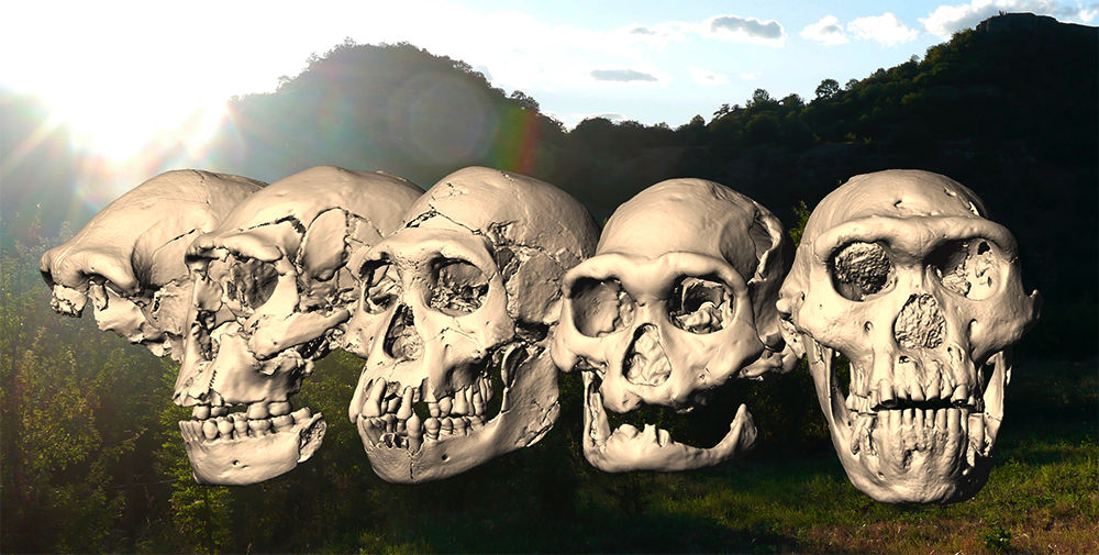 all the skulls