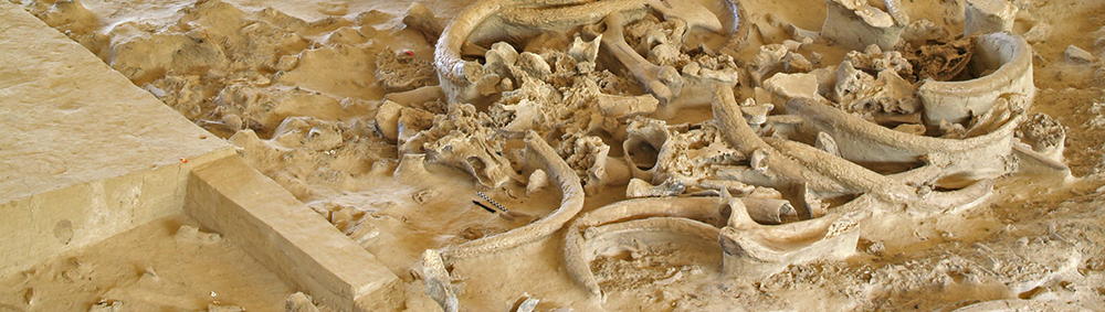 excavations at Gontsy