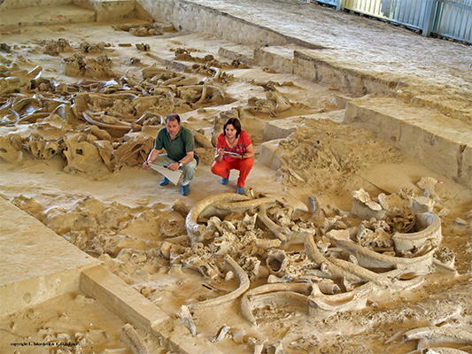 mammoth bone dwellings