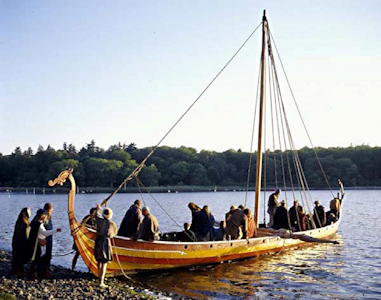 Viking ships