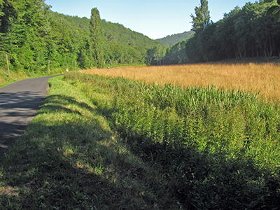 Font de Gaume spring and river