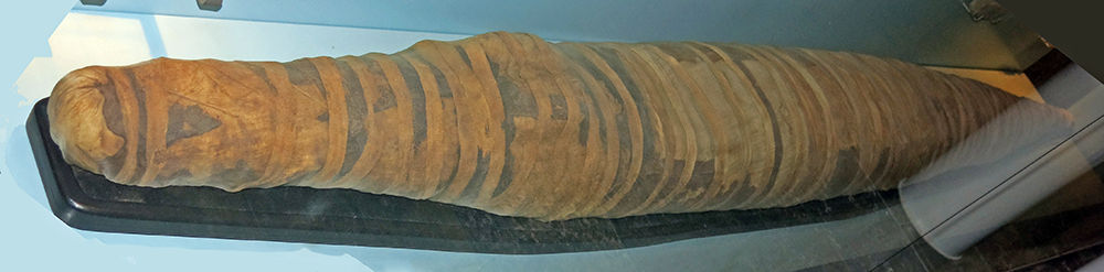 Animal mummy