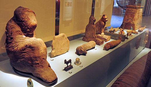 Animal mummies