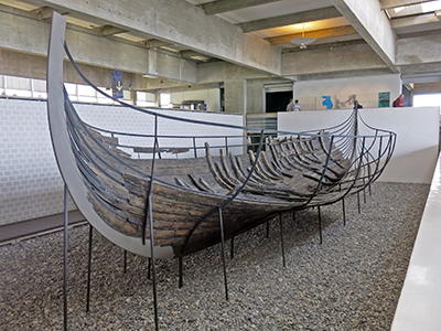 Viking ships