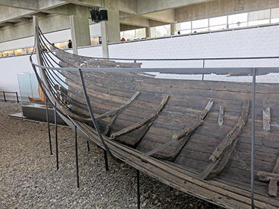 Viking ships