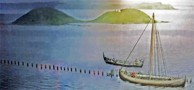 Viking ships