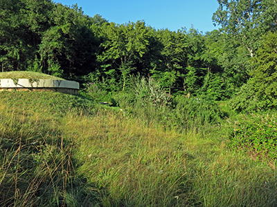 Font de Gaume spring and river