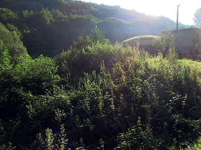 Font de Gaume spring and river