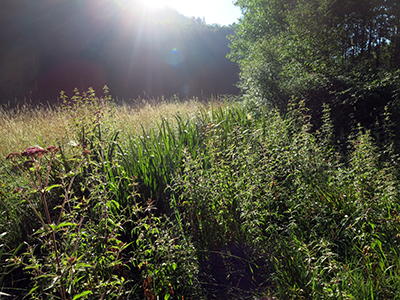 Font de Gaume spring and river