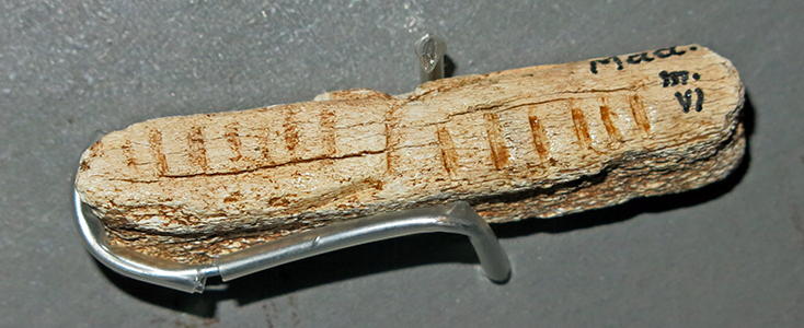 engraved bone