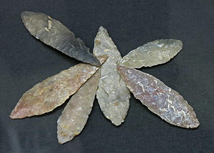 laruel leaf blades
