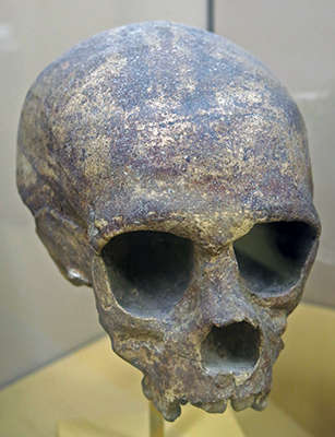 La Quina skull