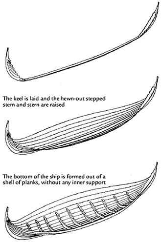 Viking ships