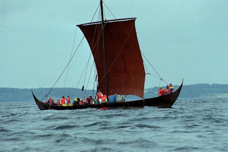 Viking ships