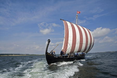 Viking ships