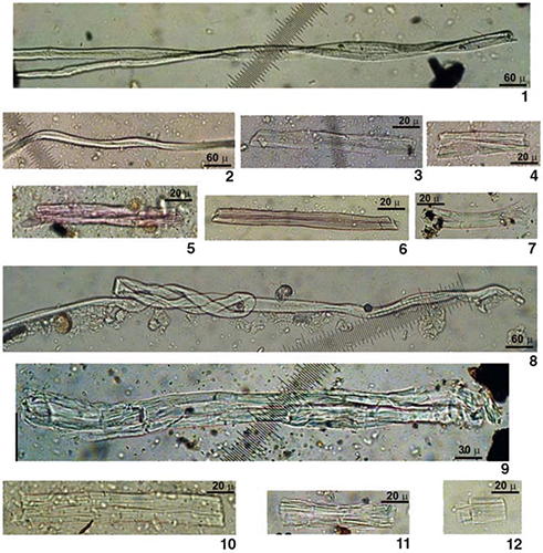 wild flax fibres