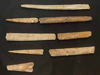 bone tools