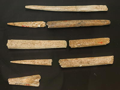 bone tools