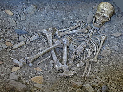 La Ferrassie skeleton reconstruction