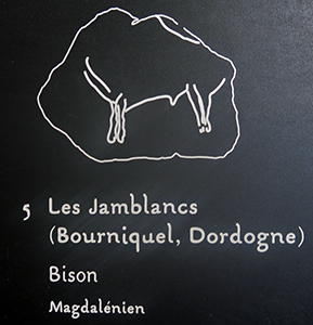 Bison, les Jamblancs