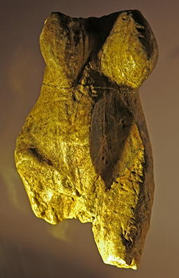 La torse