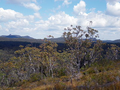 world heritage walk