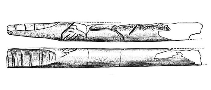 magdalenian  engraving horse