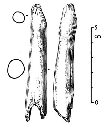 magdalenian  sculpture phallus