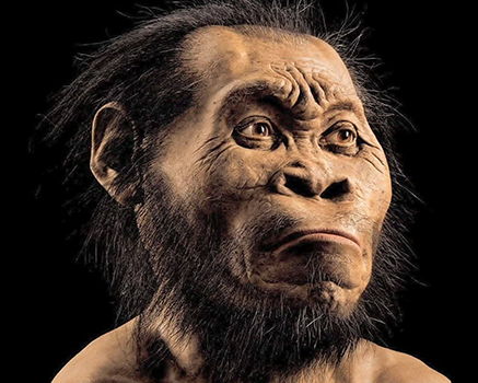 Homo naledi