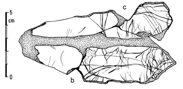 magdalenian  engraving horse on scapula