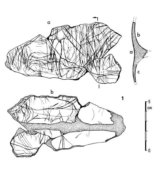 magdalenian  engraving horse on scapula