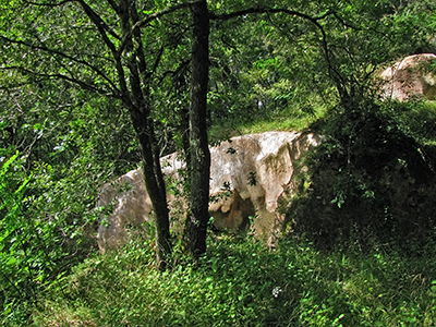 Combe Grenal overhang and trench