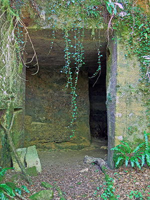  Ruth quarry