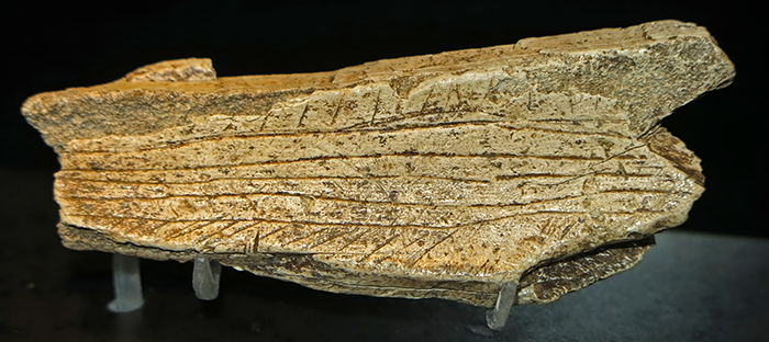  Vogelherd fragment