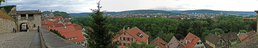  Vogelherd display