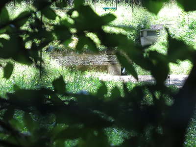 Lascaux entrance