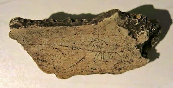 magdalenian  engraving horse