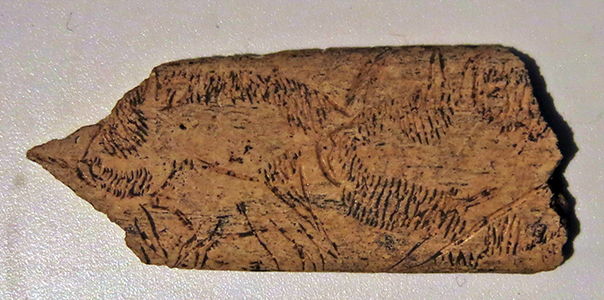 magdalenian  engraving bison