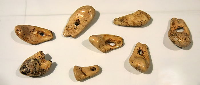 magdalenian  teeth