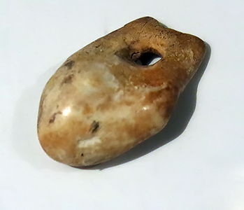 recent Palaeolithic and gravettian tooth