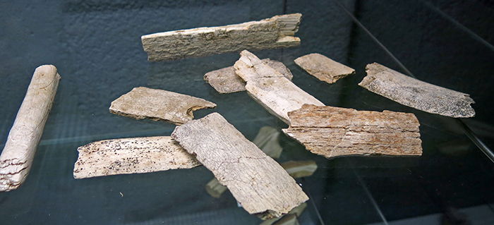 mammoth ivory