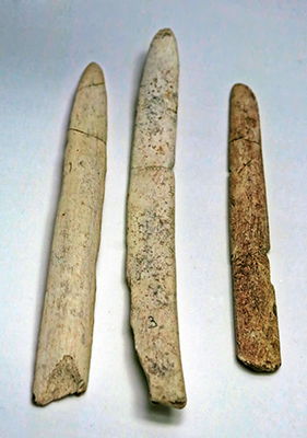 mammoth ivory