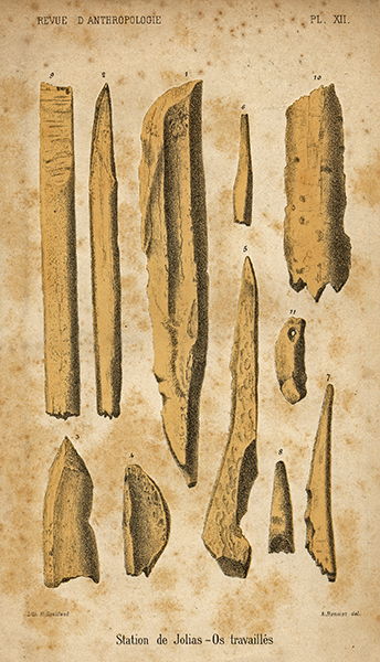 Plate XII