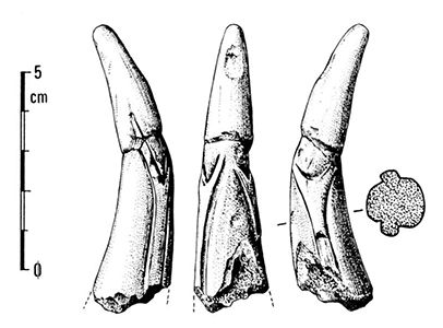 magdalenian  engraving deer antler