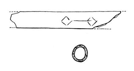 owl bone