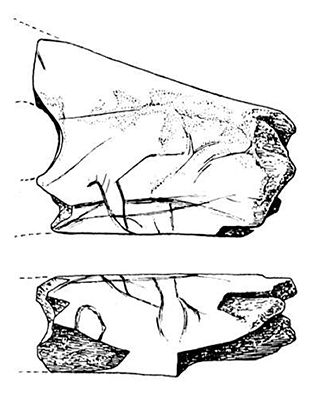 morin fig18 no5