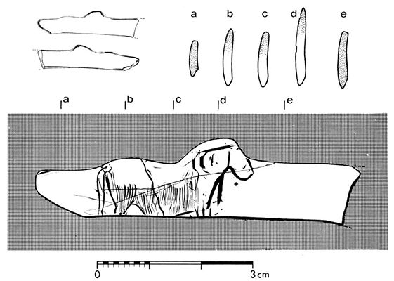 morin fig20 no1