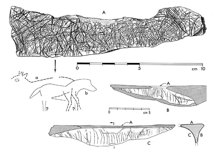 magdalenian  engraving horse and deer